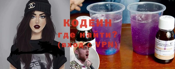индика Абаза