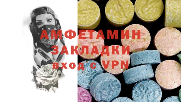 индика Абаза