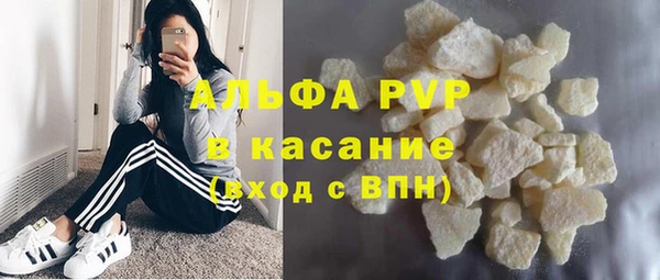 индика Абаза